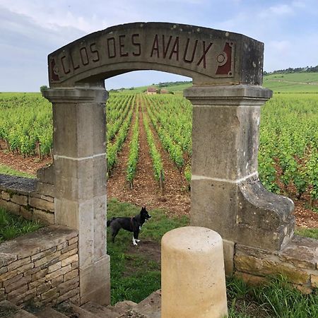La Route Des Vins Apartment Beaune  Luaran gambar